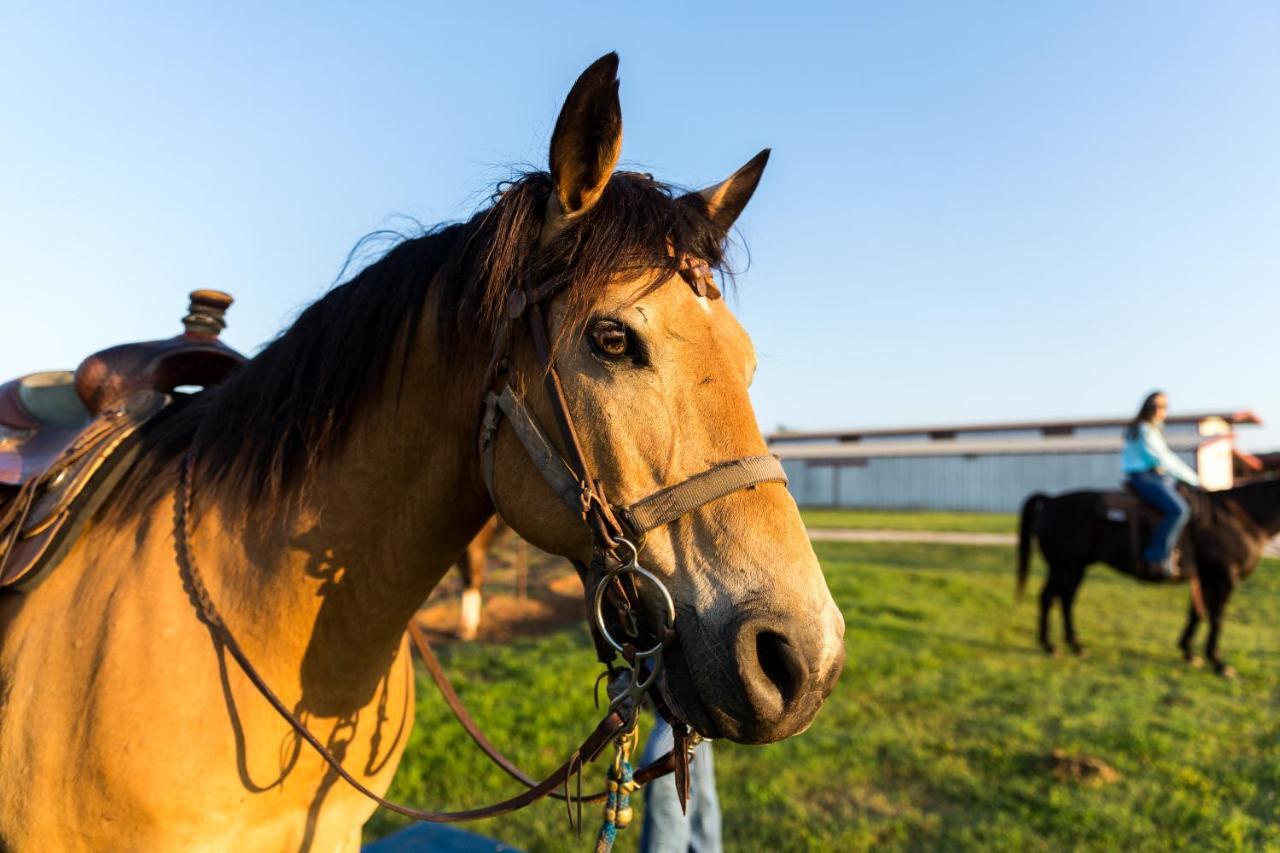 Wildcatter Ranch And Resort Graham Luaran gambar